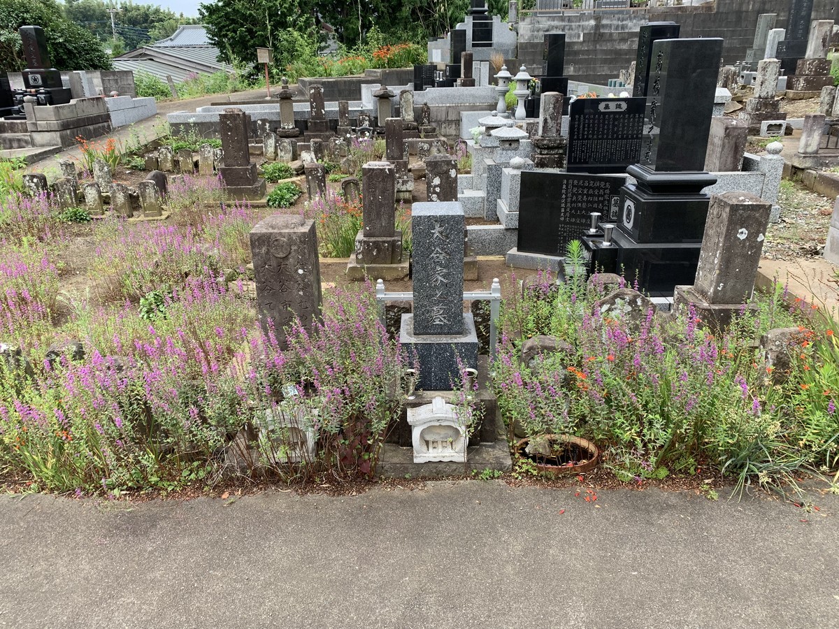 f:id:dohgen:20190724083750j:plain