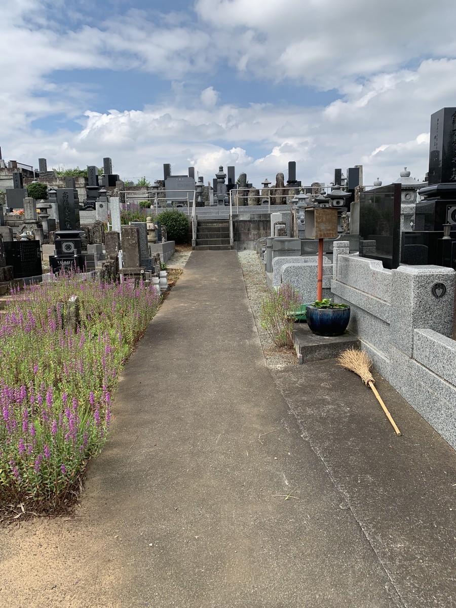f:id:dohgen:20190724084044j:plain