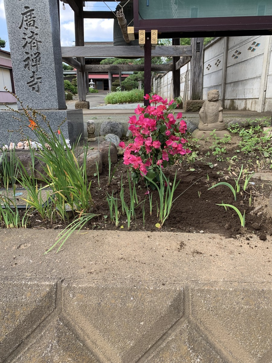 f:id:dohgen:20190724084155j:plain