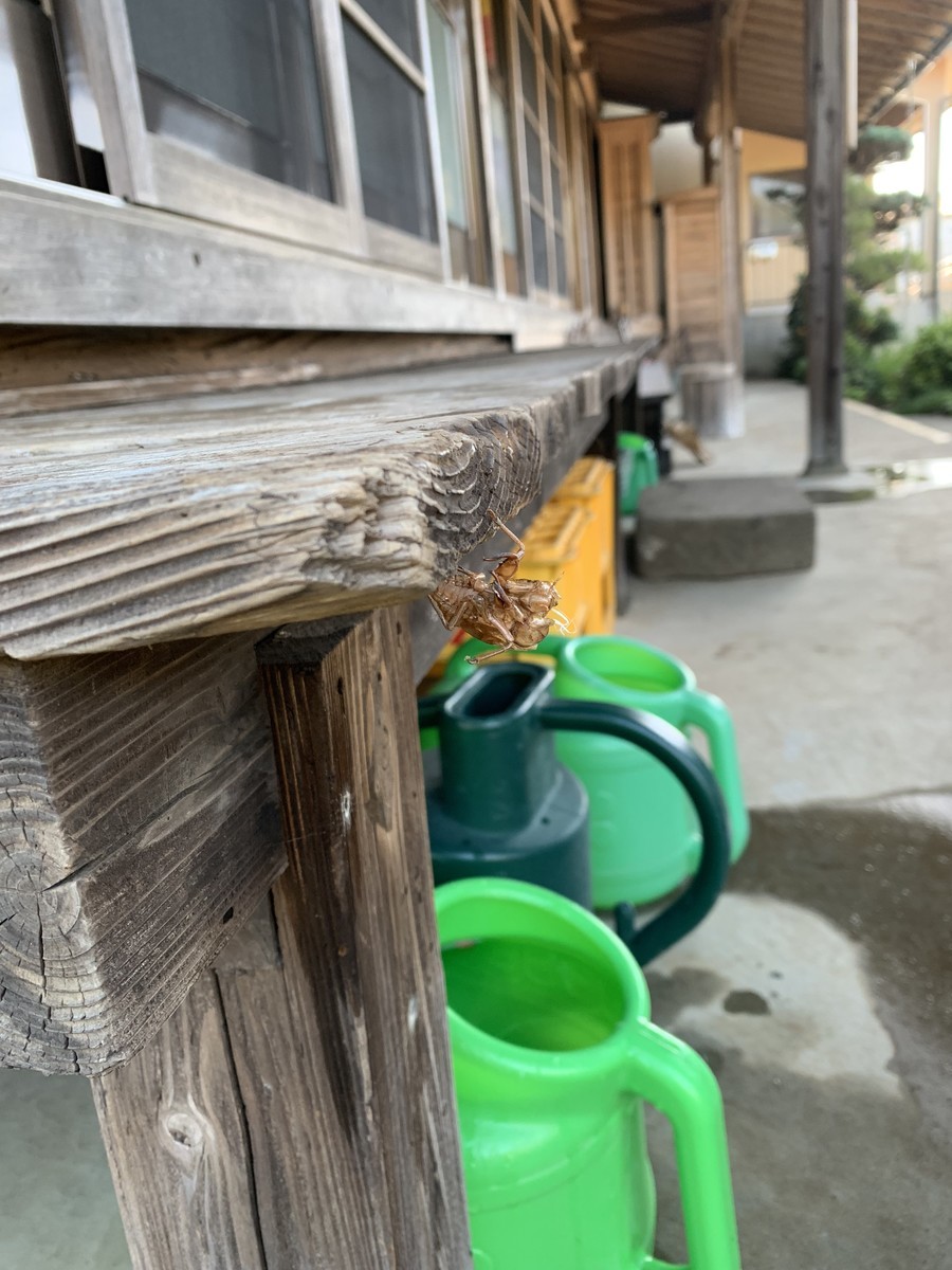 f:id:dohgen:20190806155538j:plain