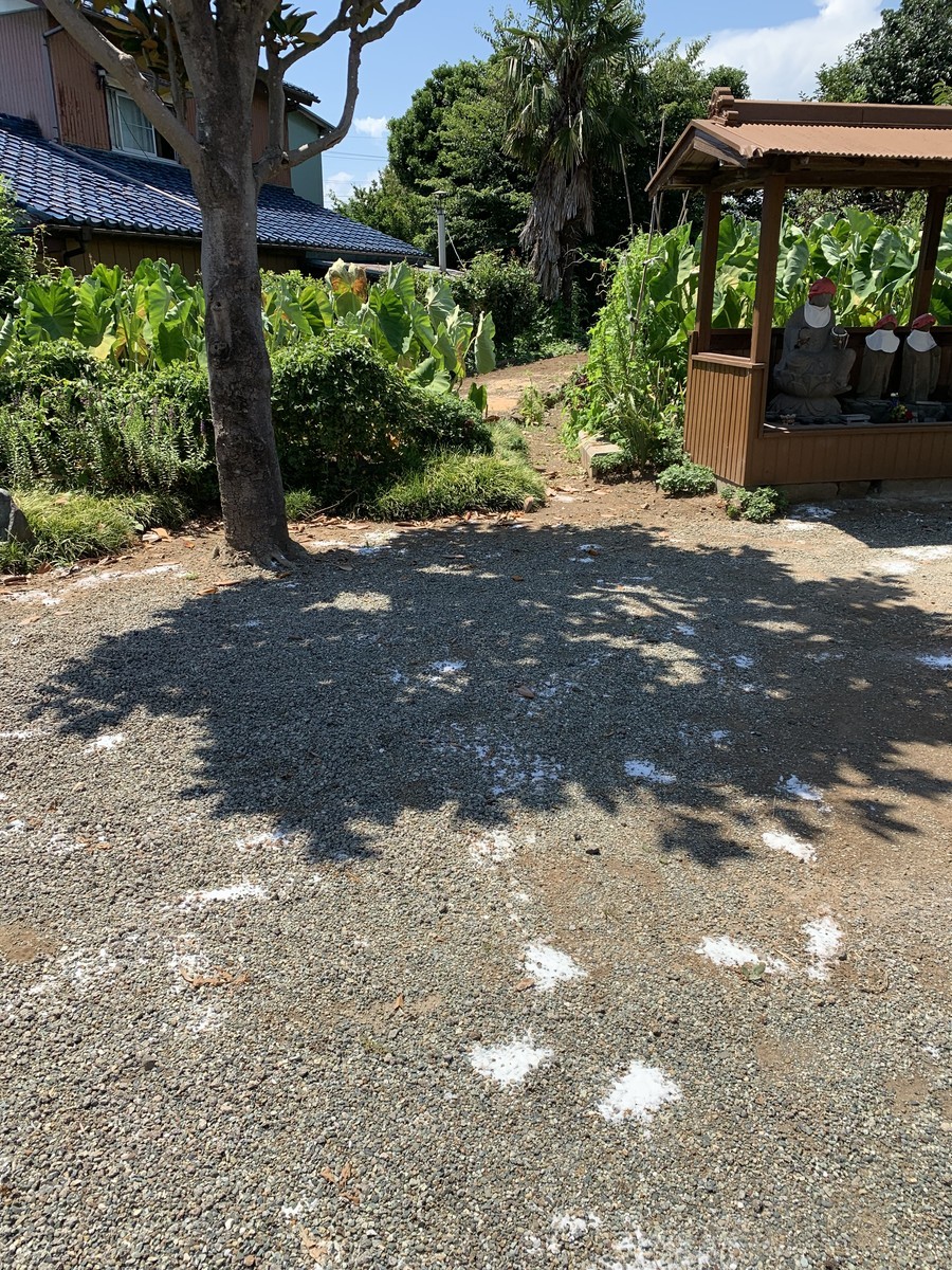 f:id:dohgen:20190809103319j:plain
