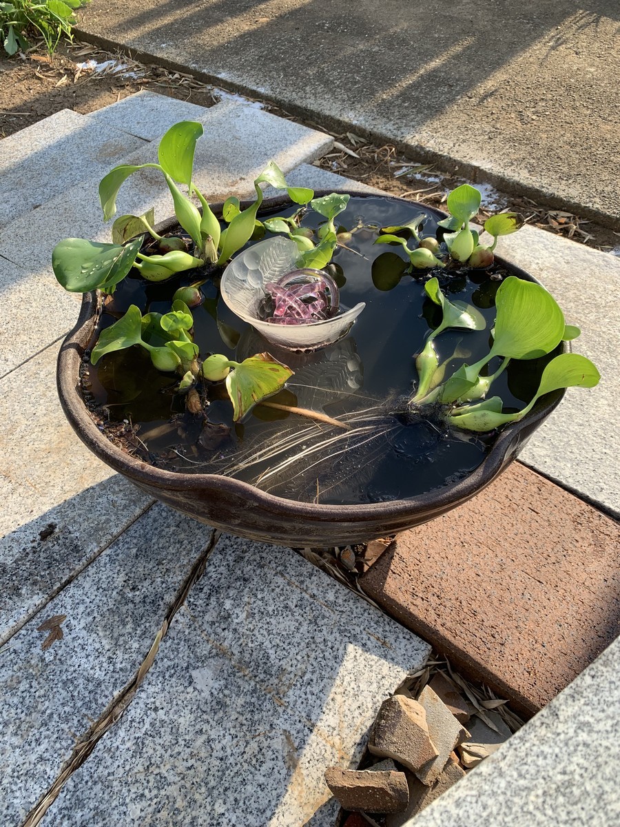 f:id:dohgen:20190809104257j:plain