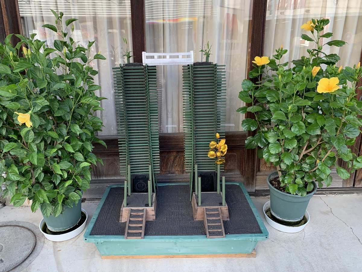 f:id:dohgen:20190813201425j:plain