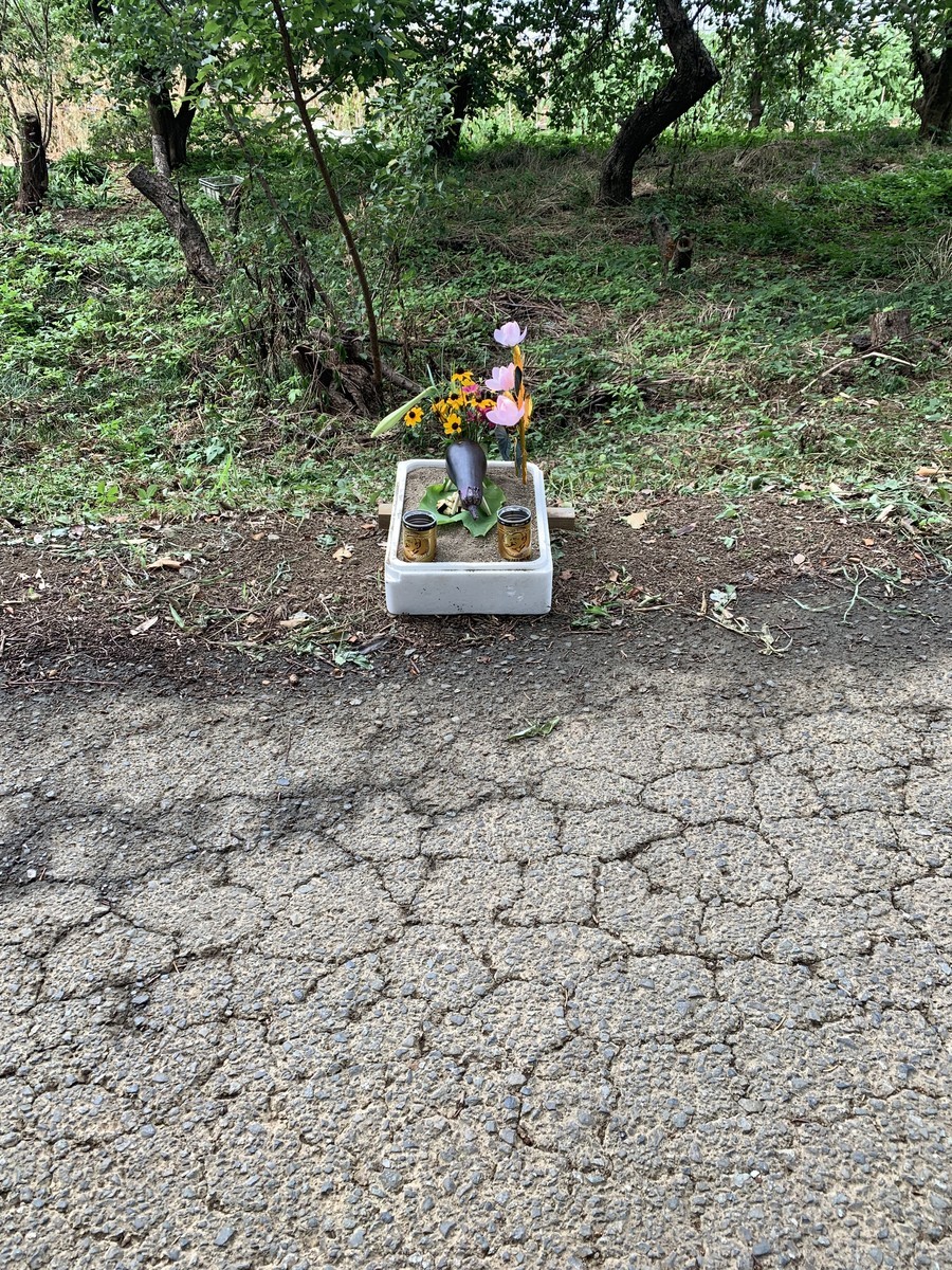 f:id:dohgen:20190813205854j:plain