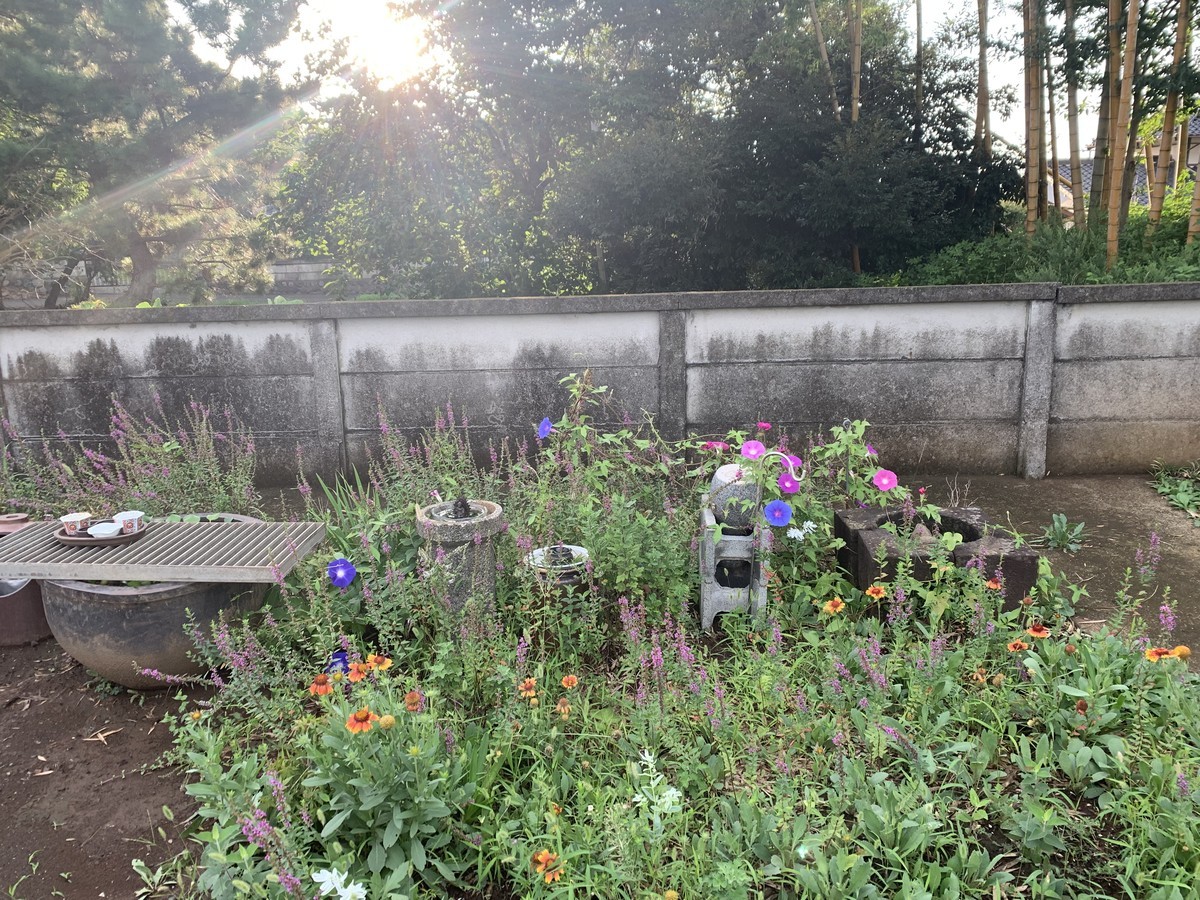f:id:dohgen:20190830084024j:plain