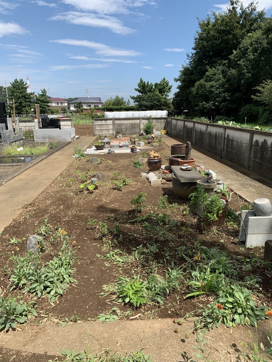 f:id:dohgen:20190830084418j:plain