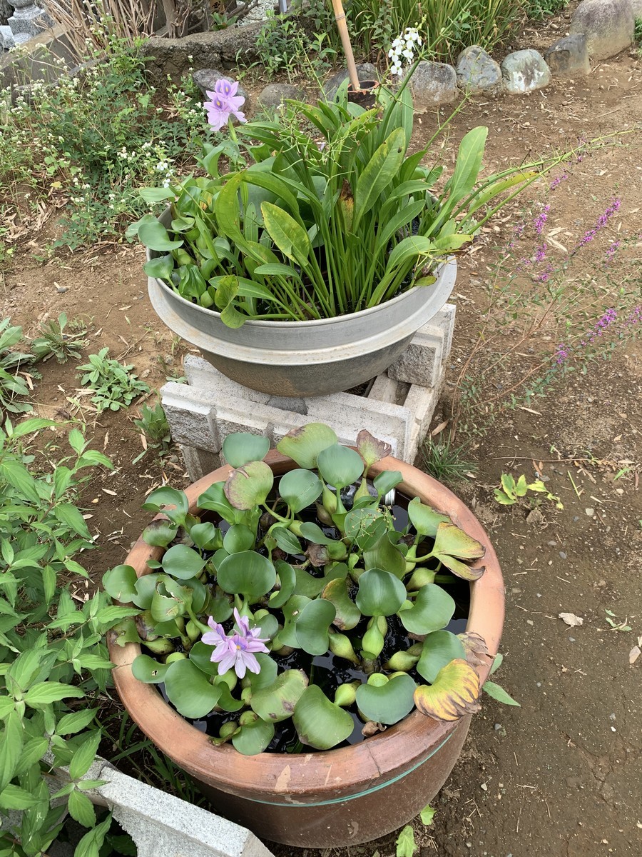 f:id:dohgen:20190904093545j:plain f:id:dohgen:20190904093545j:plain