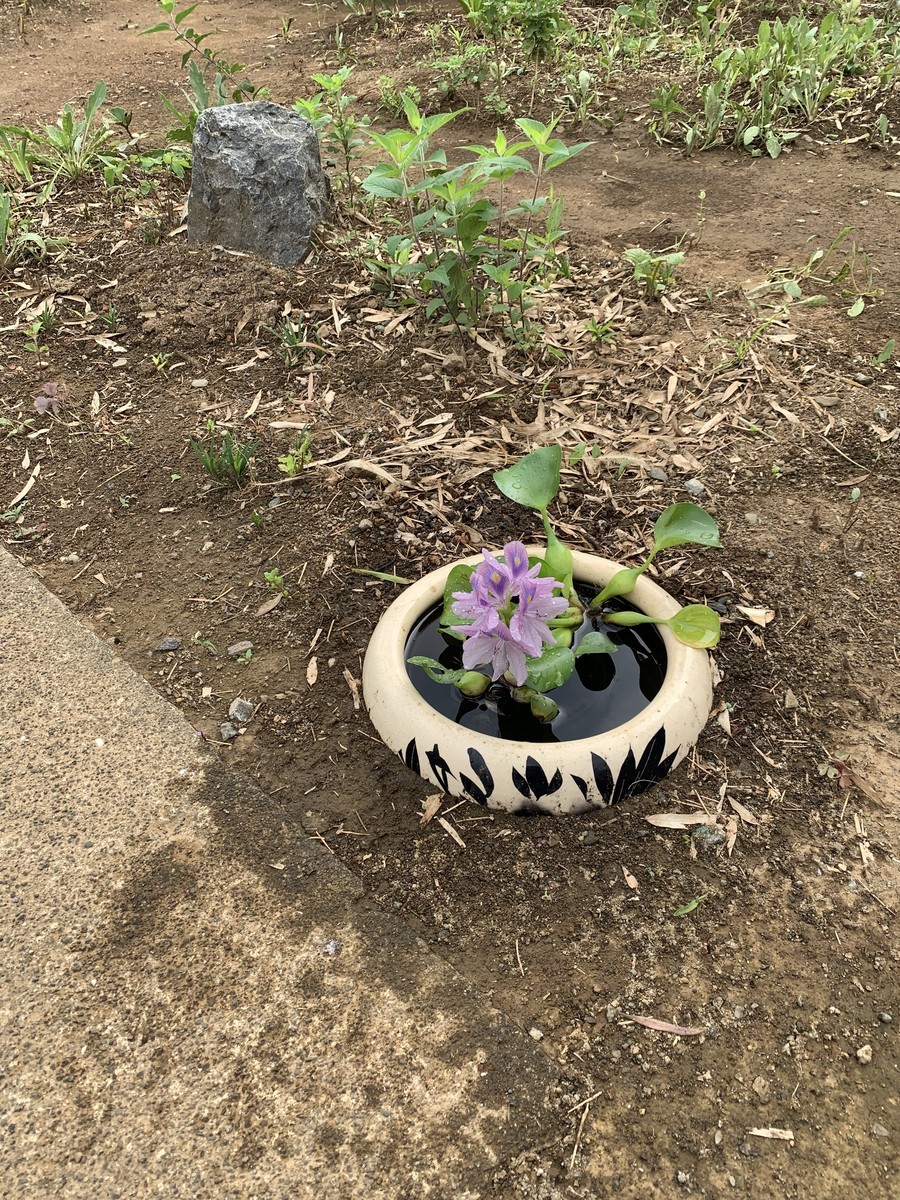 f:id:dohgen:20190904093912j:plain f:id:dohgen:20190904093912j:plain