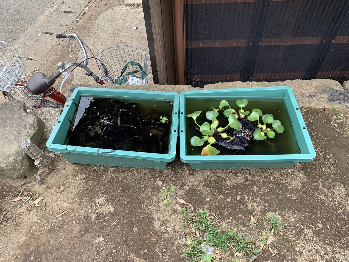 f:id:dohgen:20190914120804j:plain f:id:dohgen:20190914120804j:plain