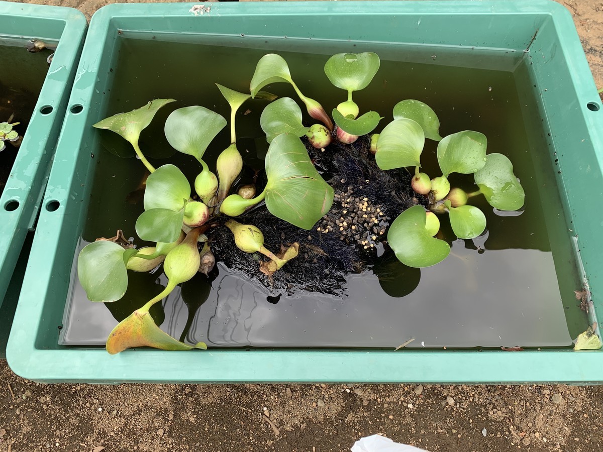 f:id:dohgen:20190914120809j:plain f:id:dohgen:20190914120809j:plain