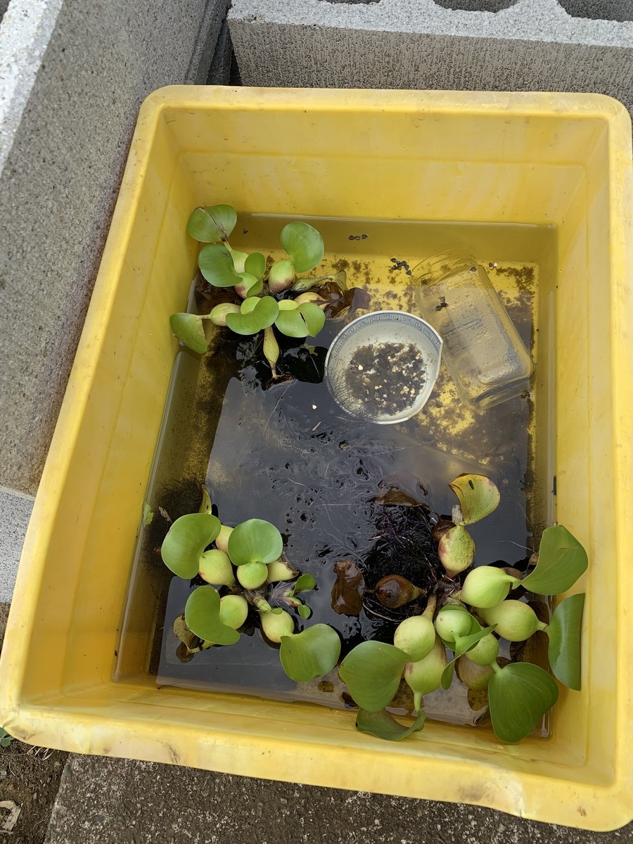 f:id:dohgen:20190914131905j:plain f:id:dohgen:20190914131905j:plain