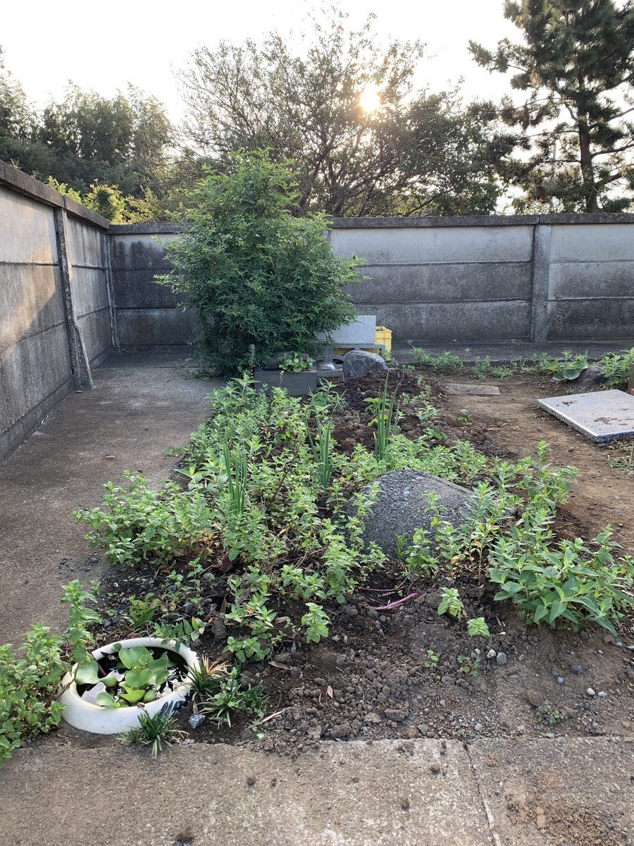 f:id:dohgen:20191001154446j:plain