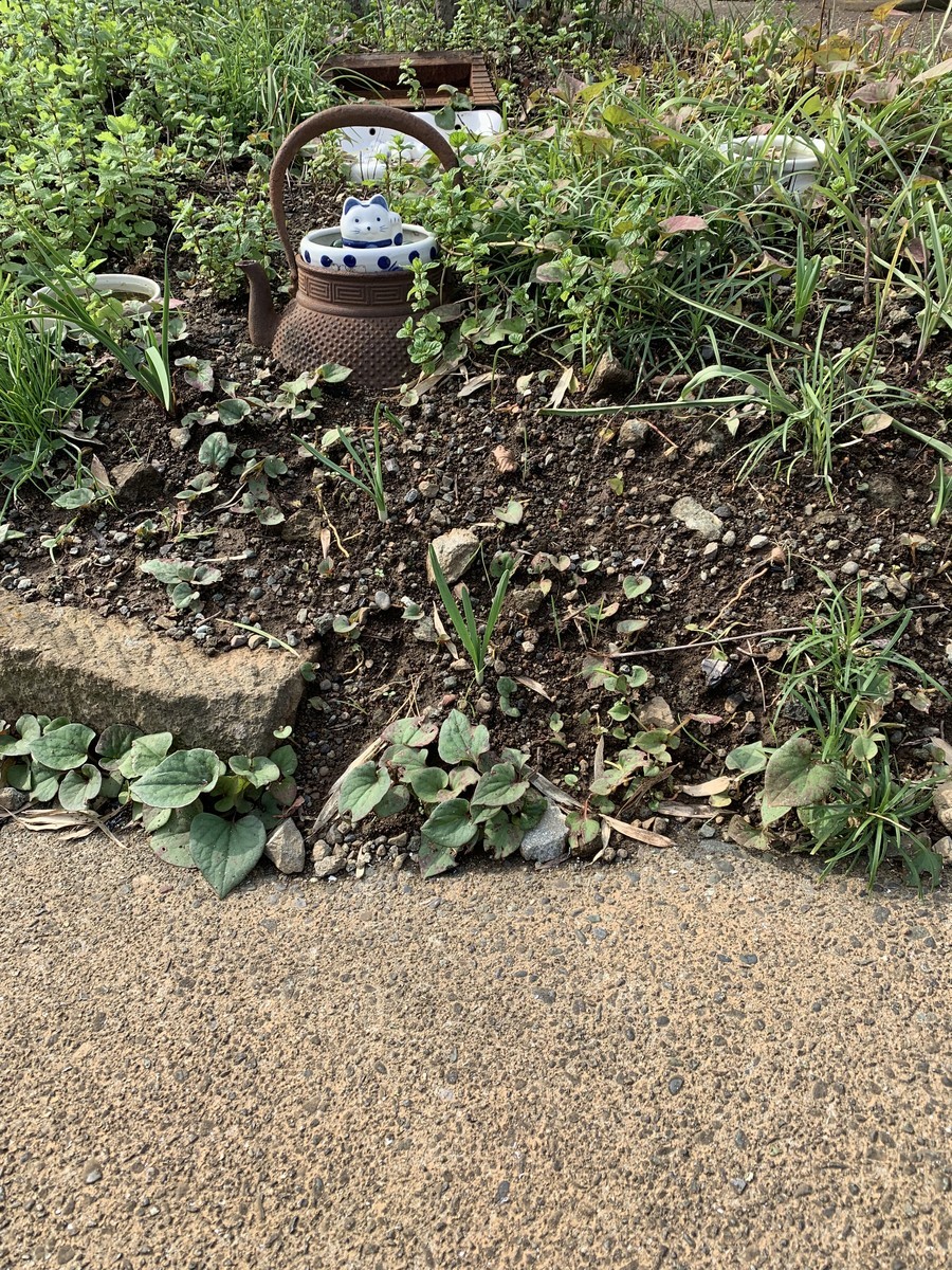f:id:dohgen:20191031200535j:plain