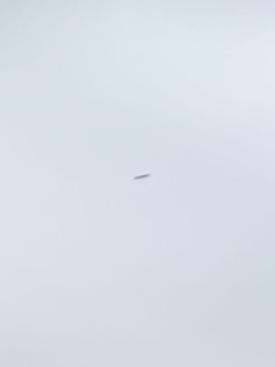 f:id:dohgen:20191103162805j:plain