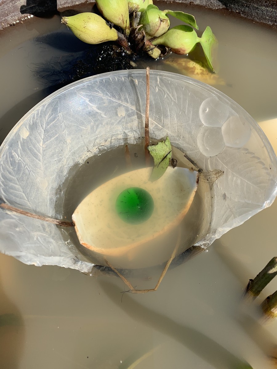 f:id:dohgen:20191106110300j:plain