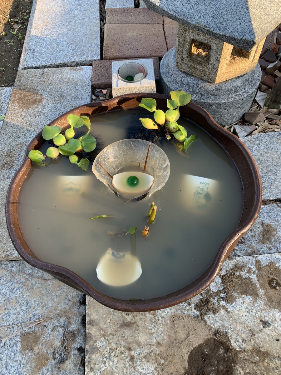 f:id:dohgen:20191106120109j:plain