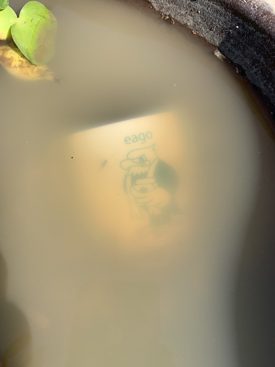 f:id:dohgen:20191106120536j:plain