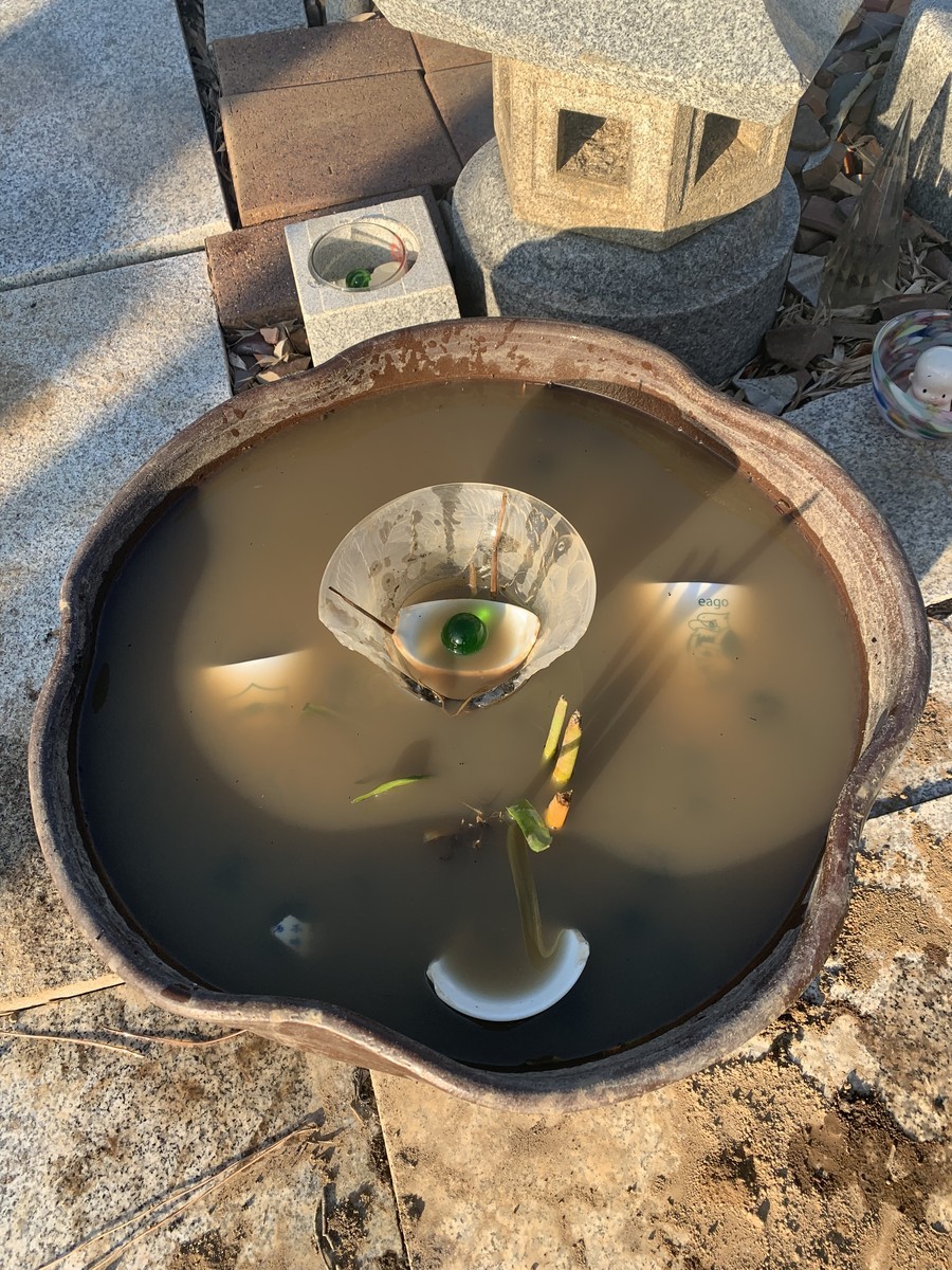 f:id:dohgen:20191110152757j:plain