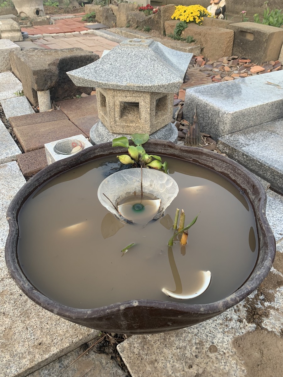f:id:dohgen:20191110153427j:plain