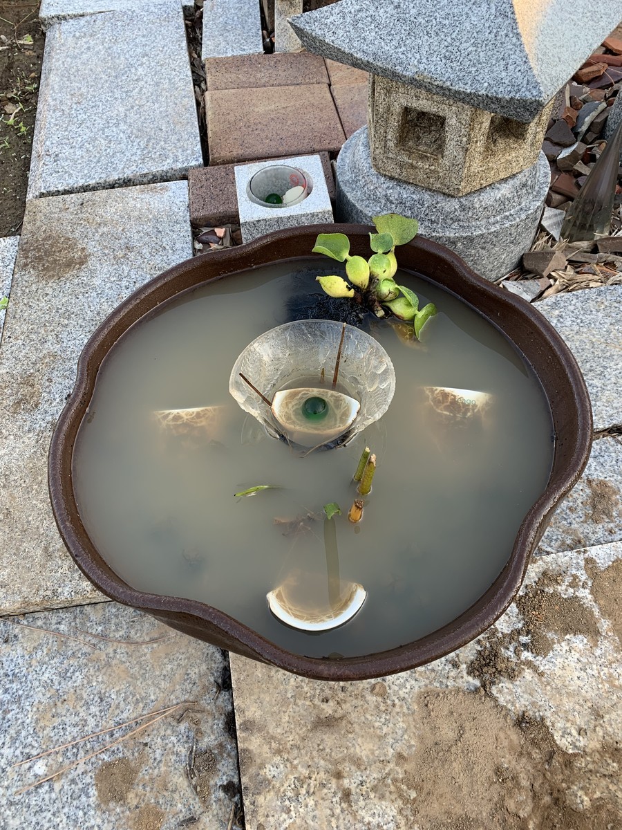 f:id:dohgen:20191110153837j:plain