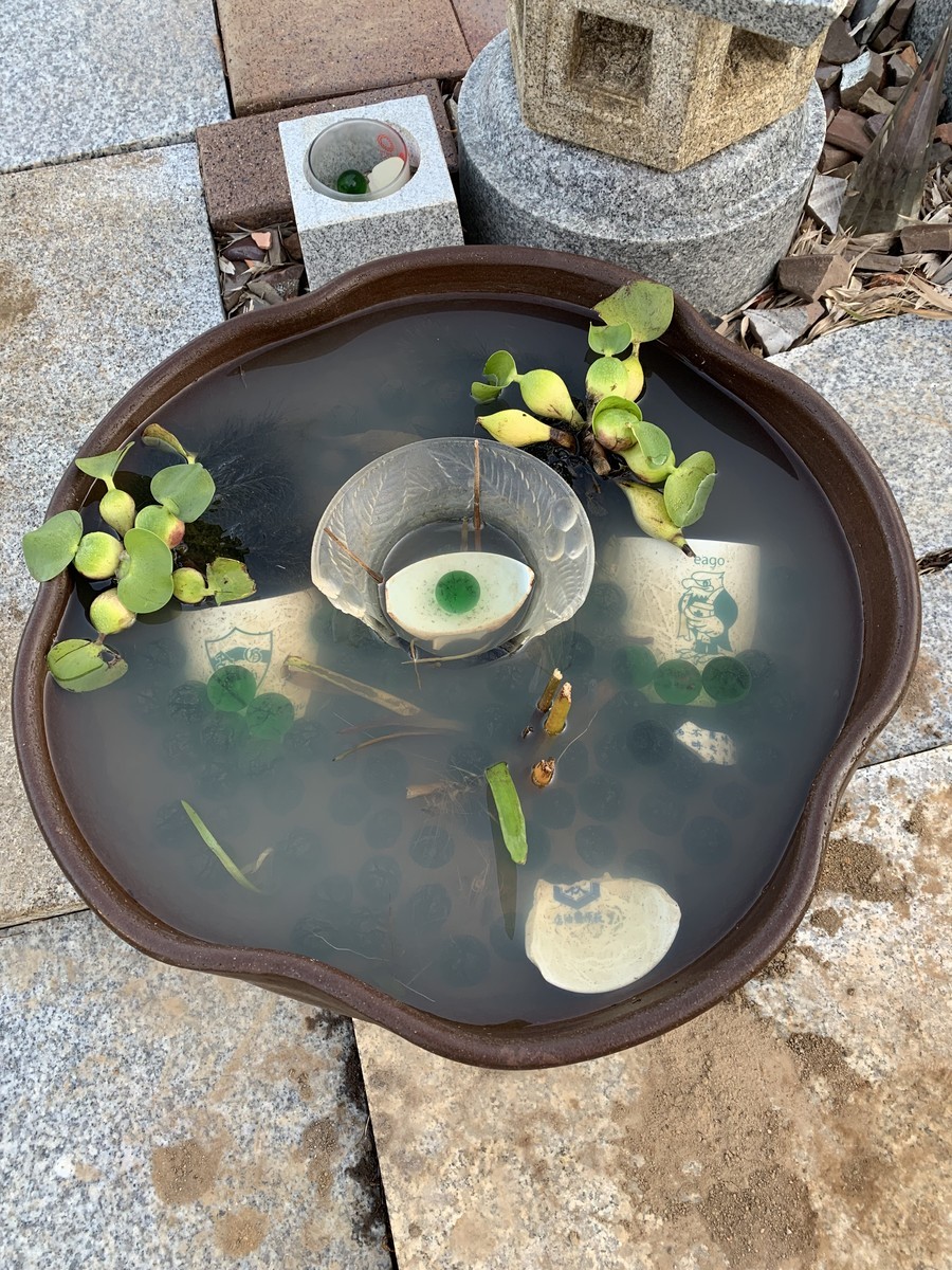 f:id:dohgen:20191110154320j:plain