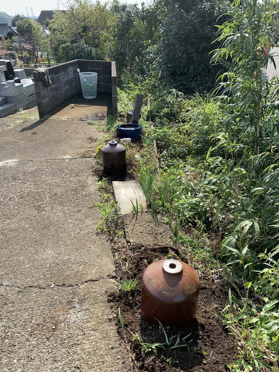 f:id:dohgen:20191111124533j:plain