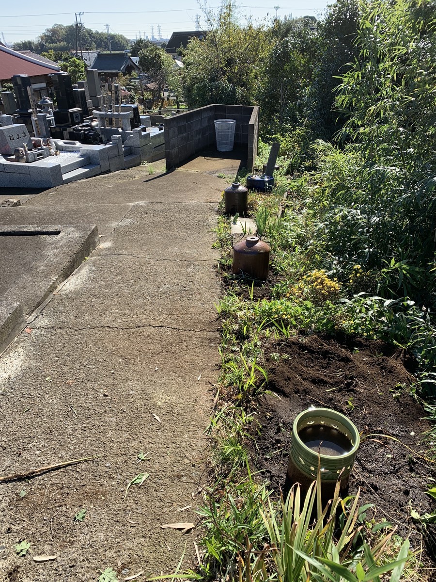 f:id:dohgen:20191115172452j:plain