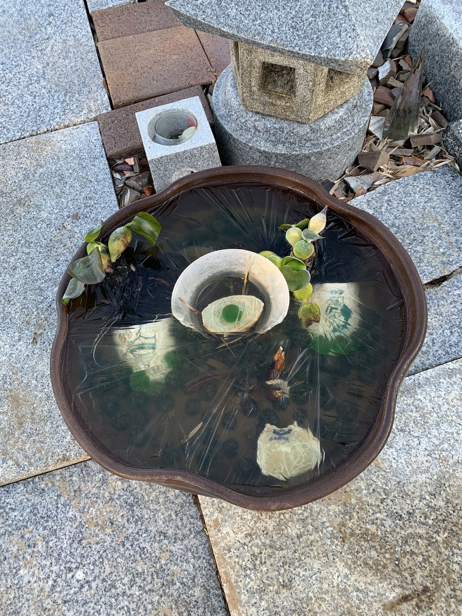 f:id:dohgen:20191130160433j:plain