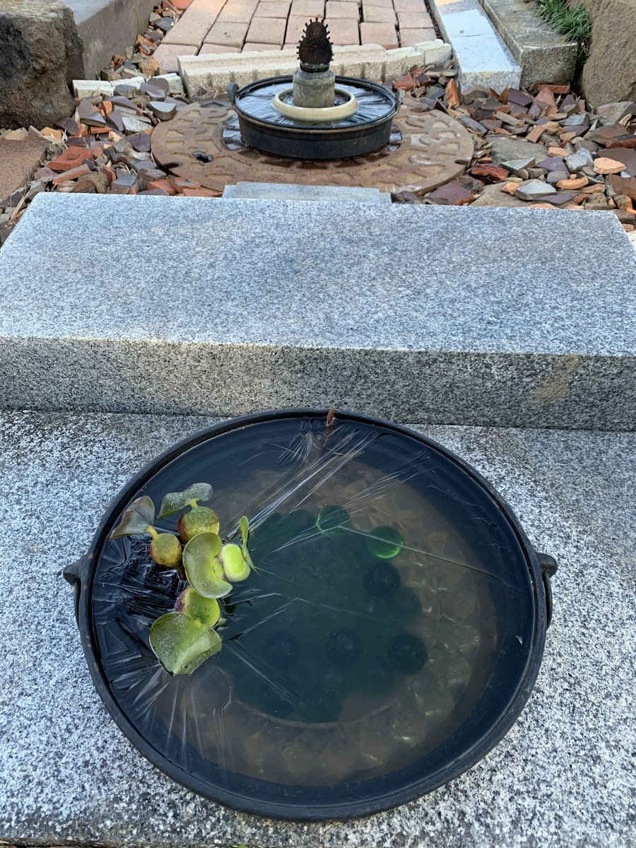 f:id:dohgen:20191130160506j:plain
