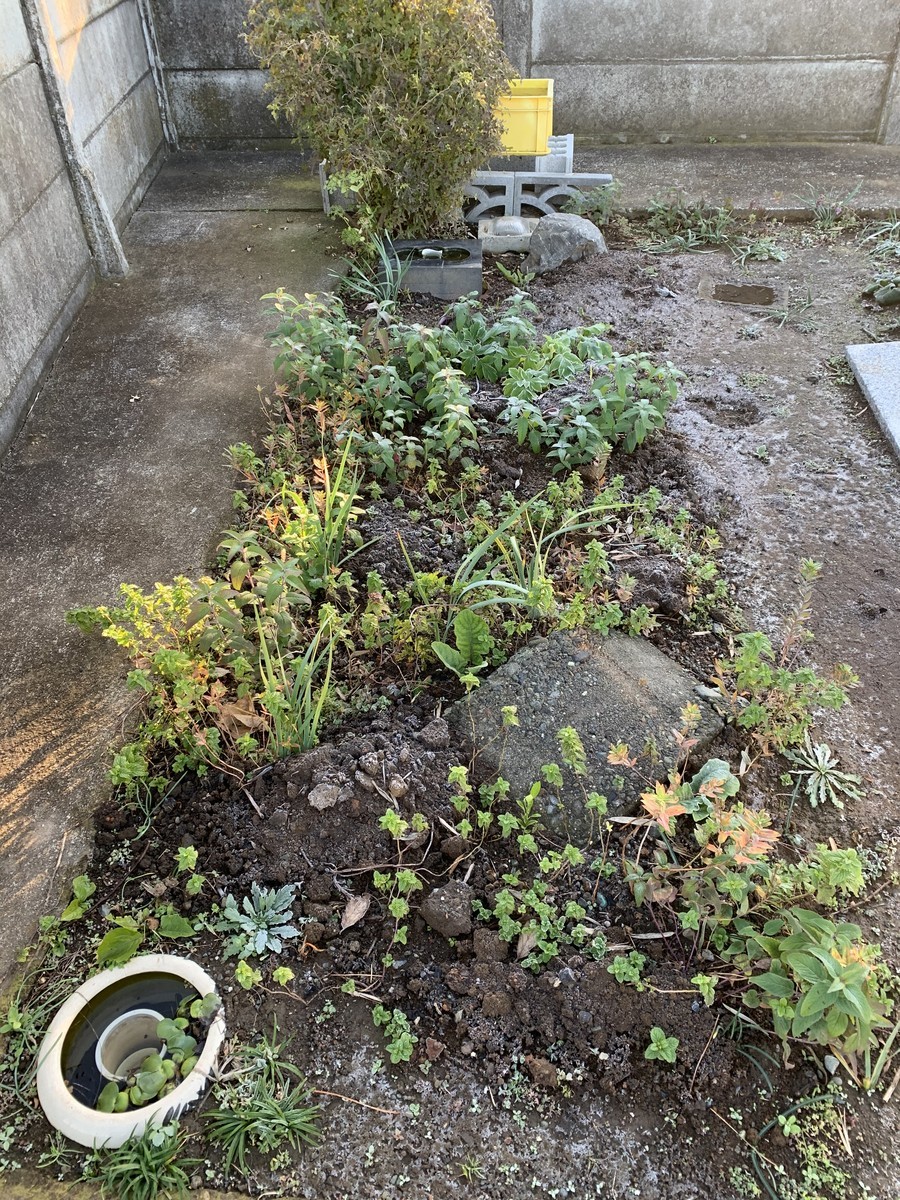 f:id:dohgen:20191130160614j:plain