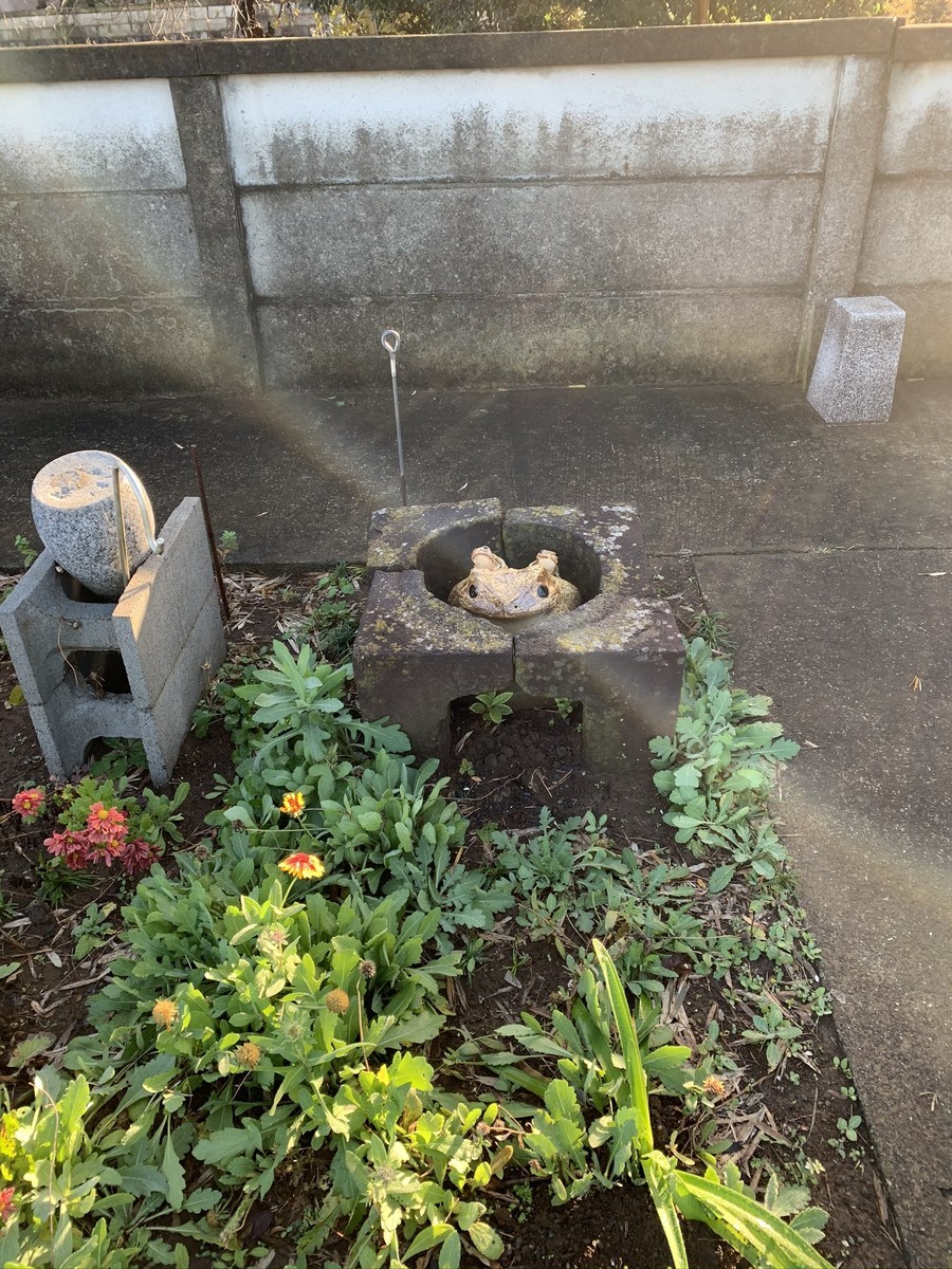 f:id:dohgen:20191203082437j:plain f:id:dohgen:20191203082437j:plain