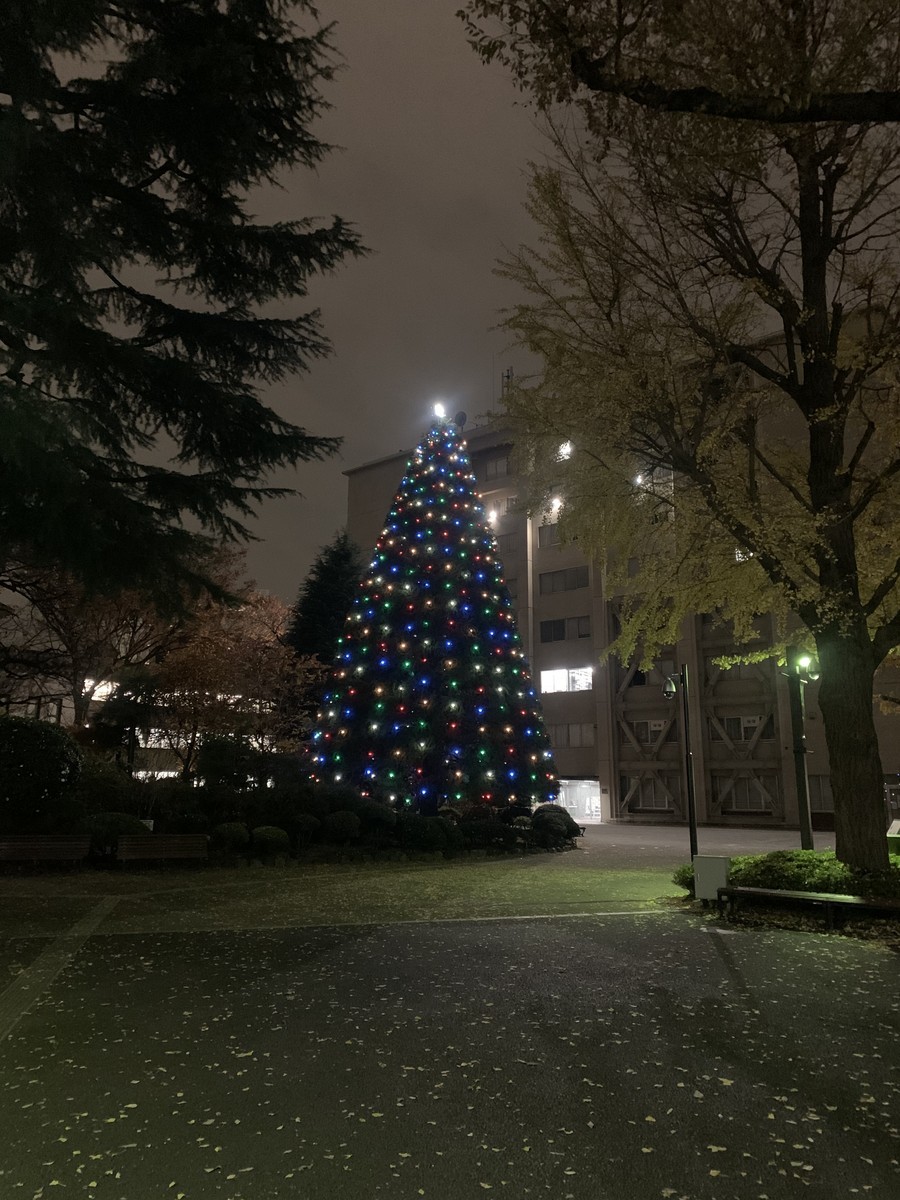 f:id:dohgen:20191207110845j:plain