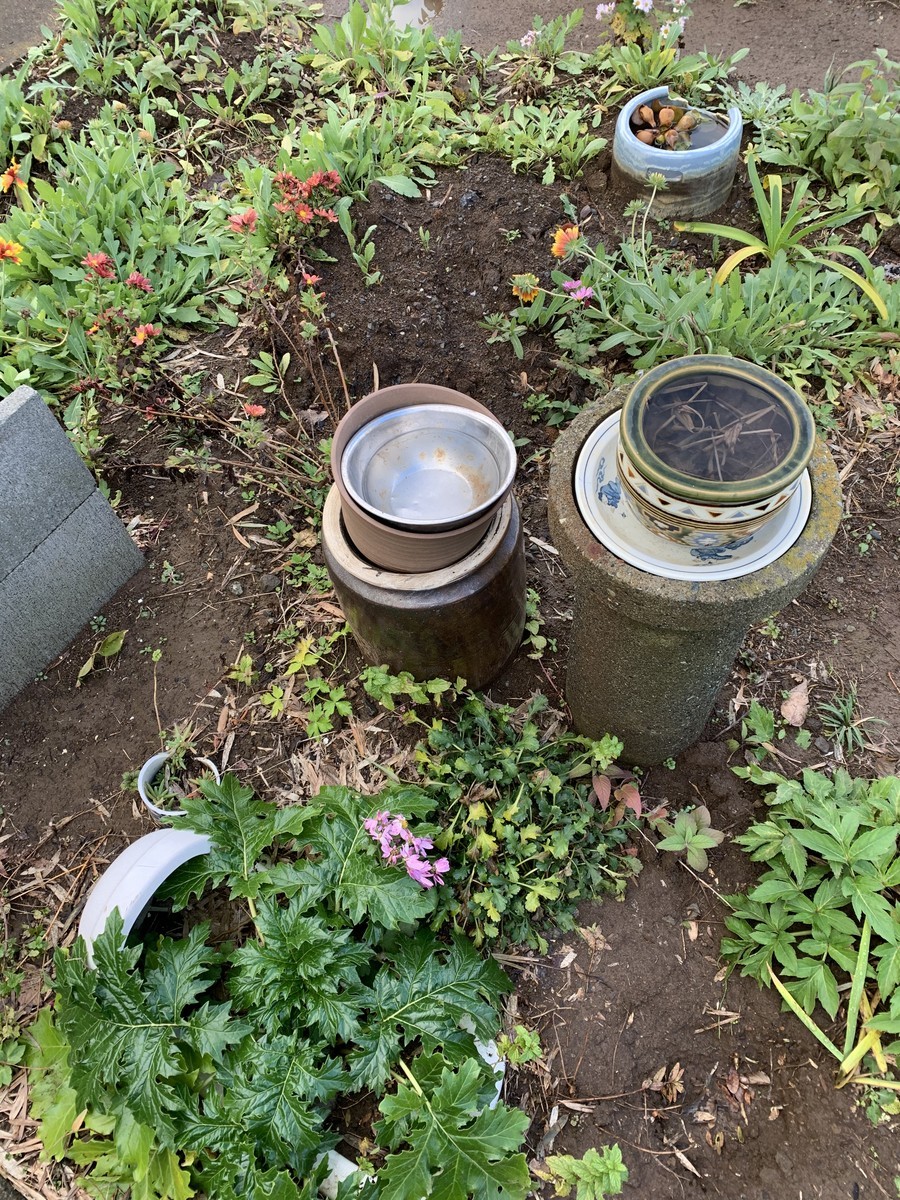 f:id:dohgen:20191210113511j:plain