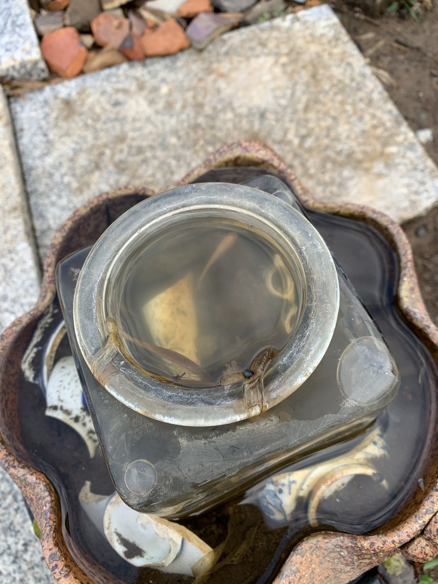 f:id:dohgen:20191210113556j:plain