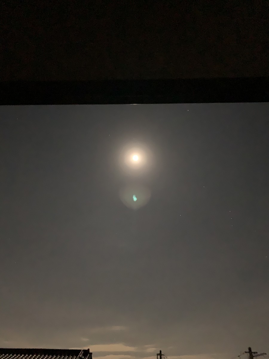f:id:dohgen:20191213174044j:plain