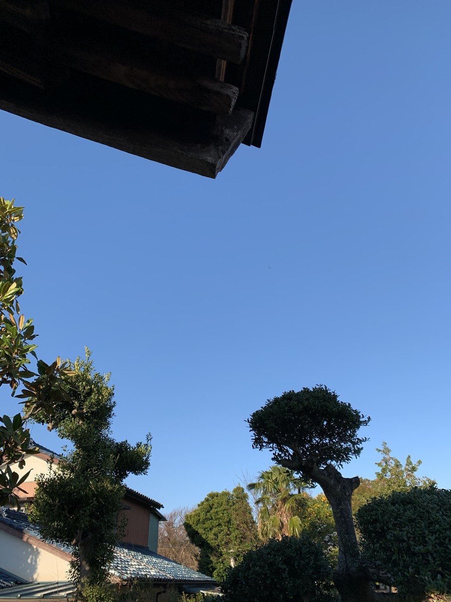 f:id:dohgen:20191224091256j:plain