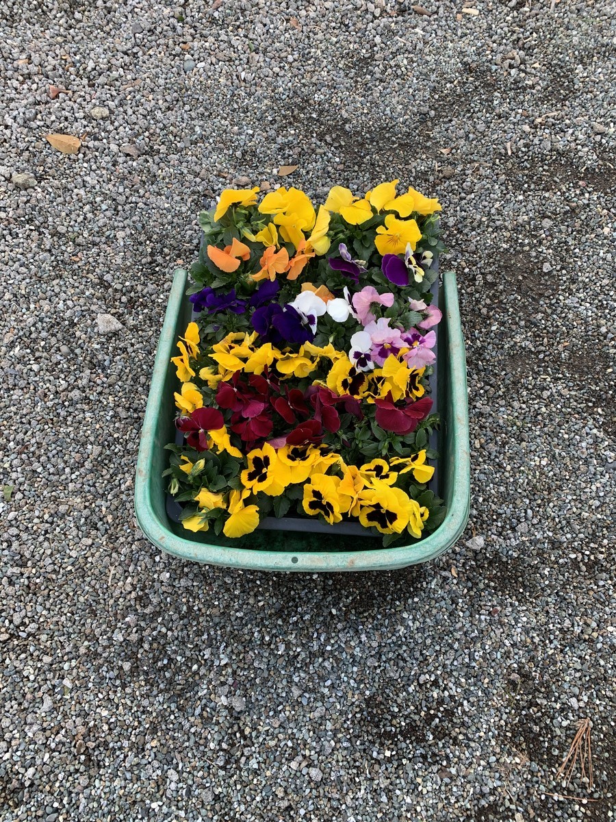 f:id:dohgen:20191224091731j:plain