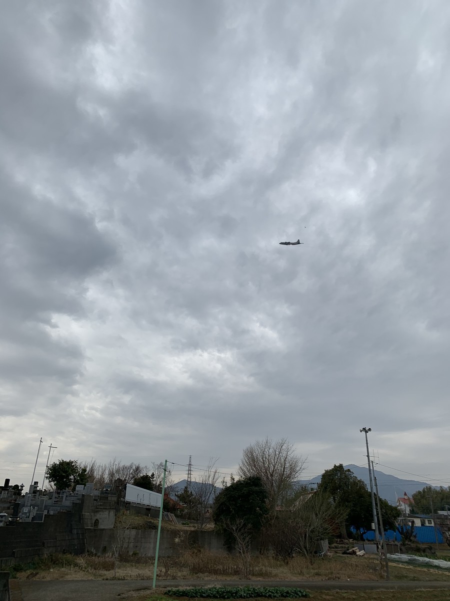 f:id:dohgen:20200225192637j:plain