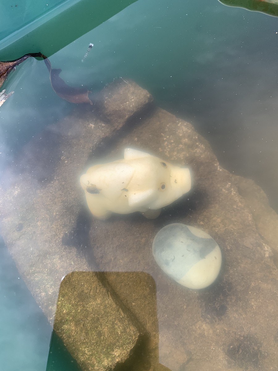 f:id:dohgen:20200313163747j:plain