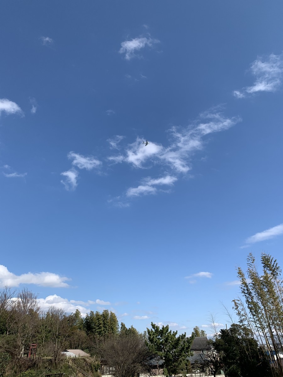 f:id:dohgen:20200315153046j:plain