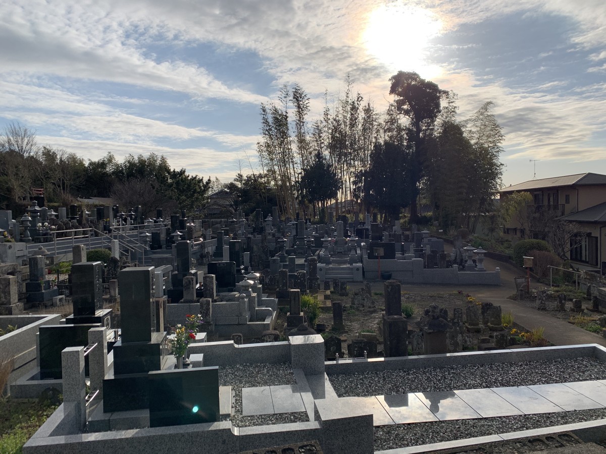 f:id:dohgen:20200317124543j:plain