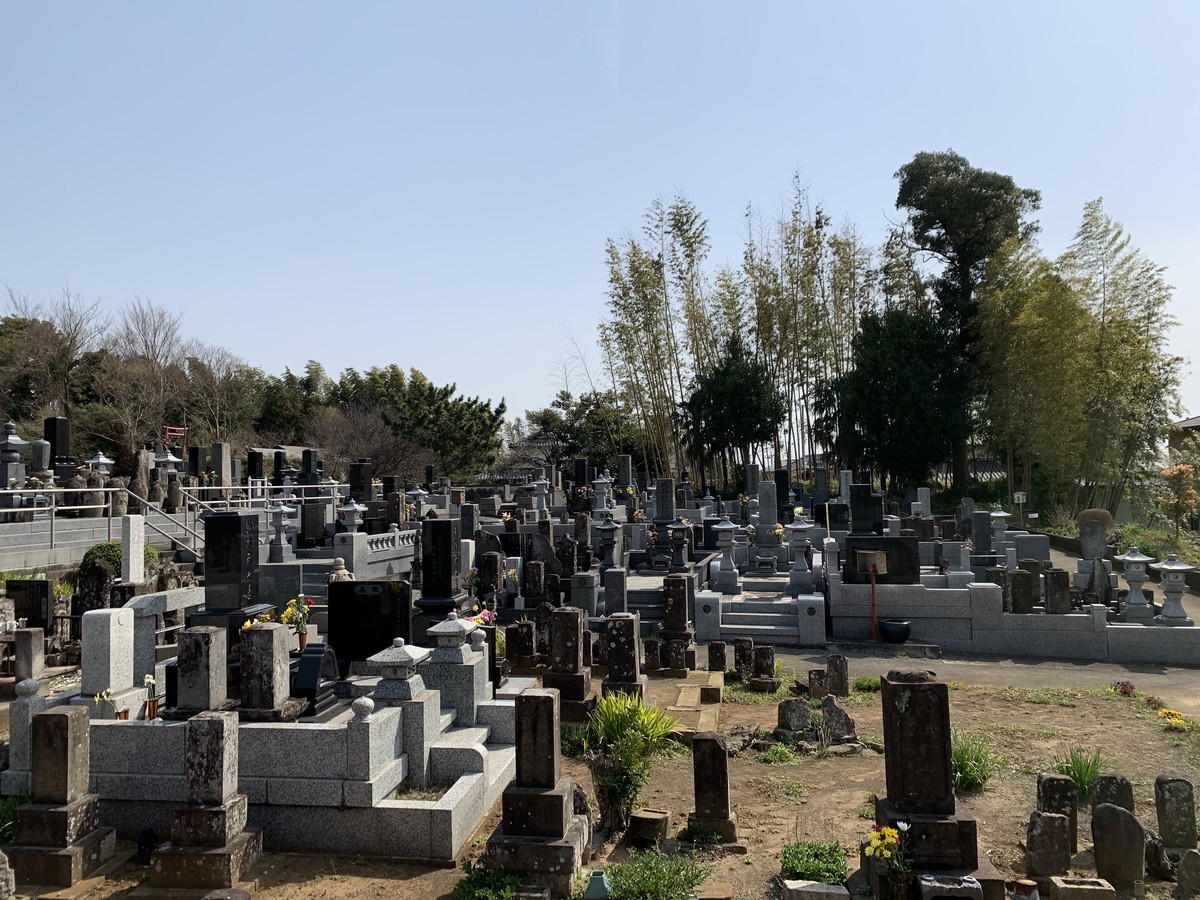 f:id:dohgen:20200322173905j:plain