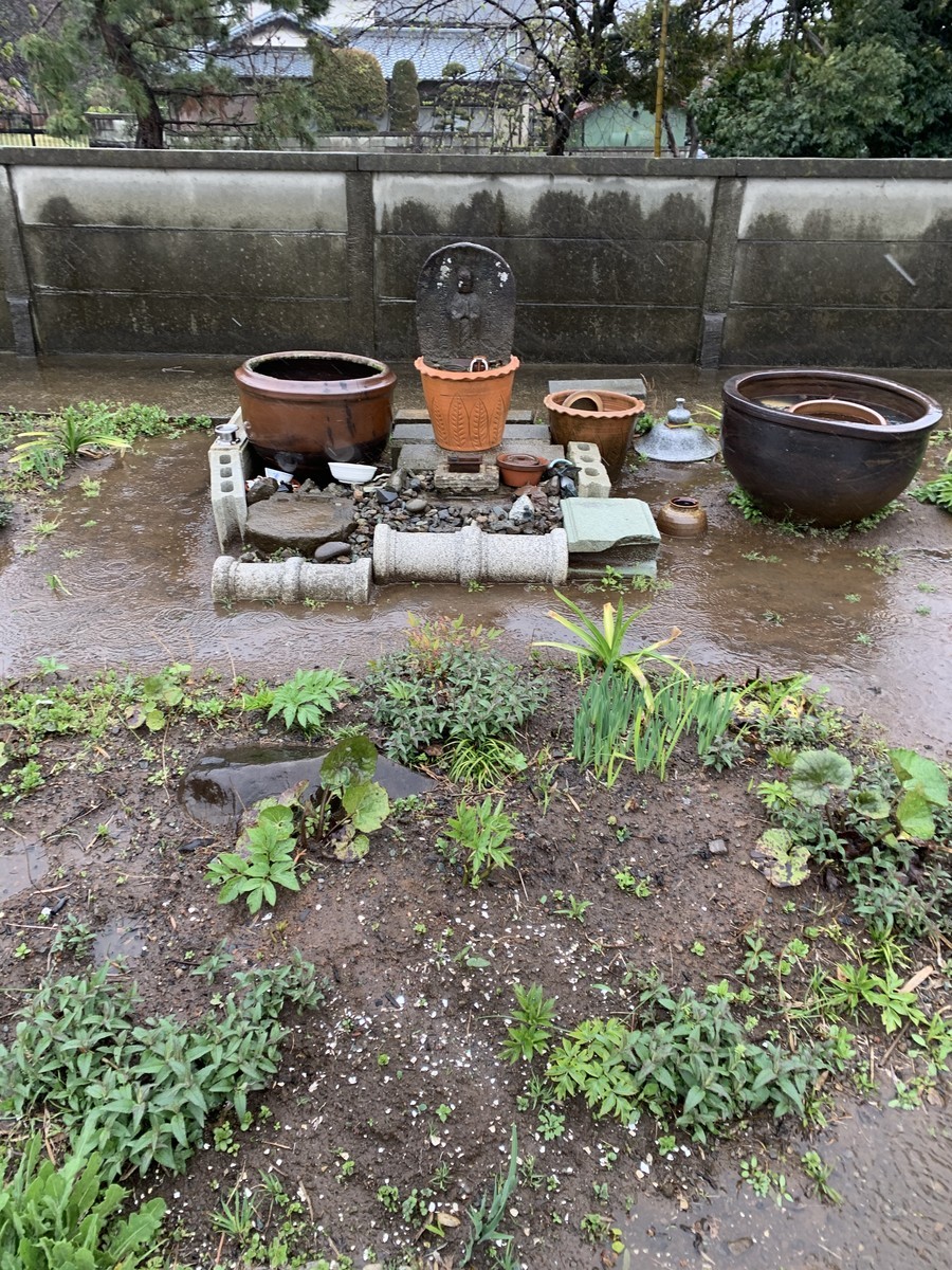 f:id:dohgen:20200330084038j:plain