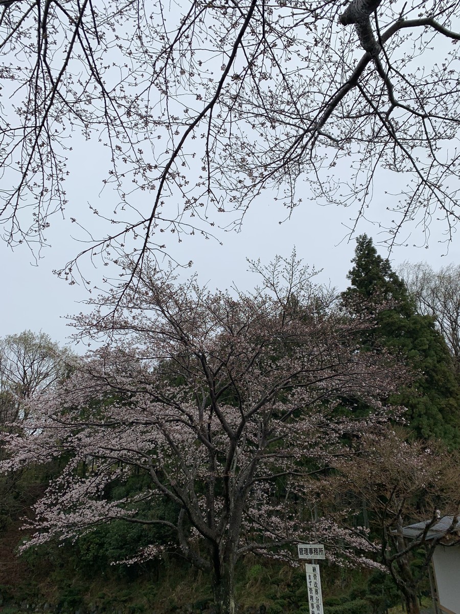 f:id:dohgen:20200330085126j:plain