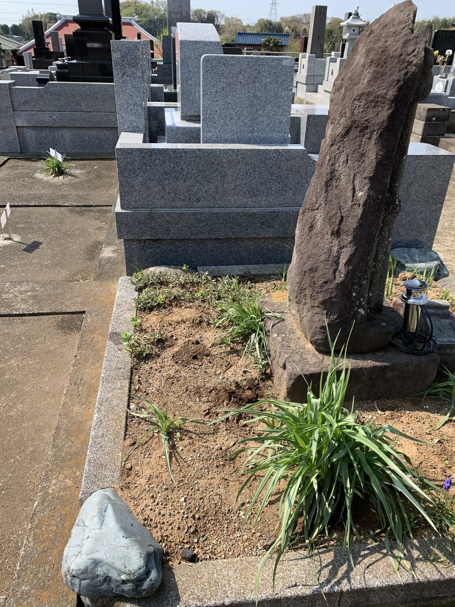 f:id:dohgen:20200405155107j:plain