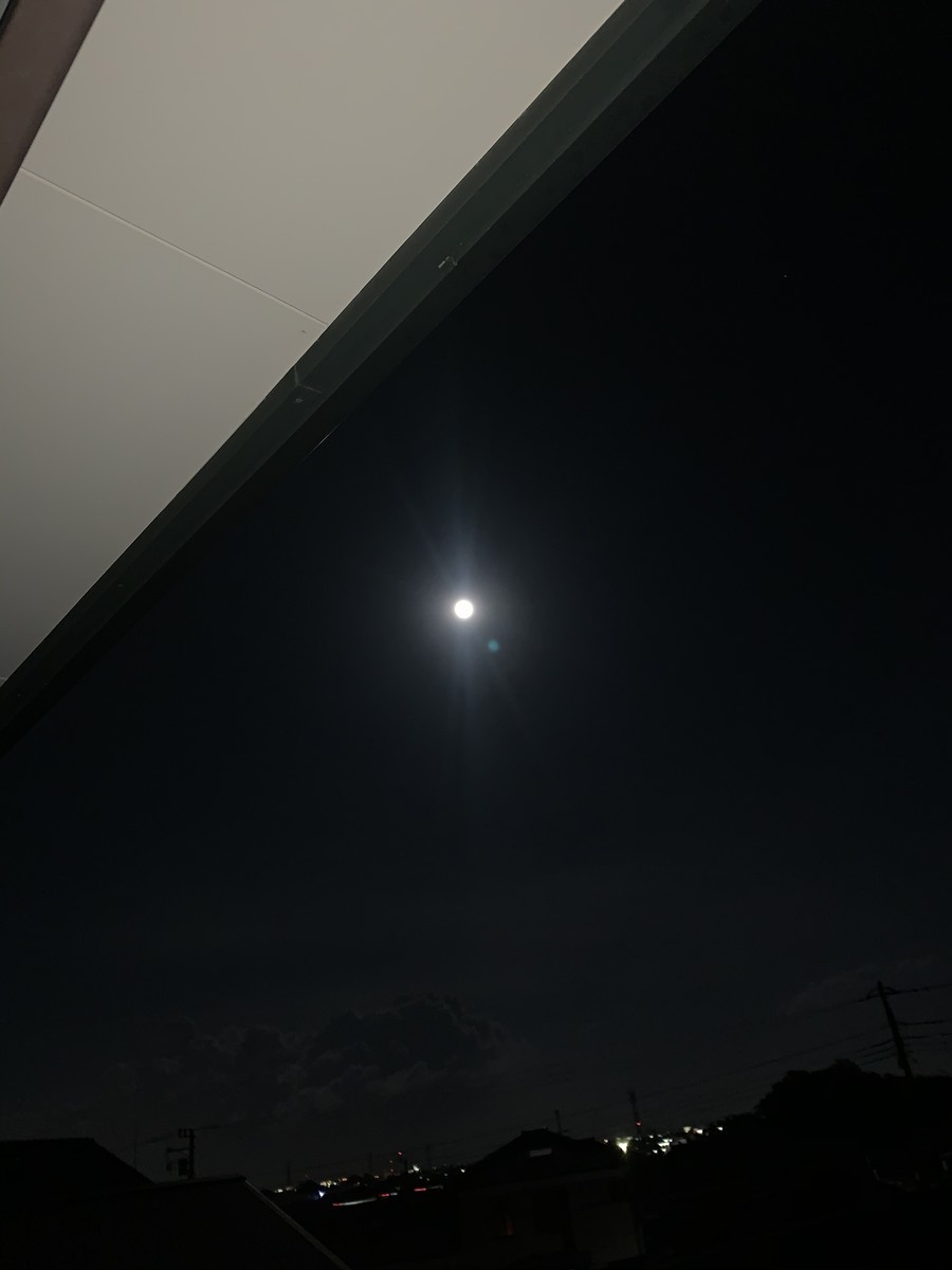 f:id:dohgen:20200508155624j:plain