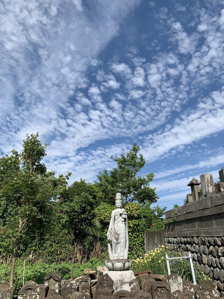 f:id:dohgen:20200511160016j:plain