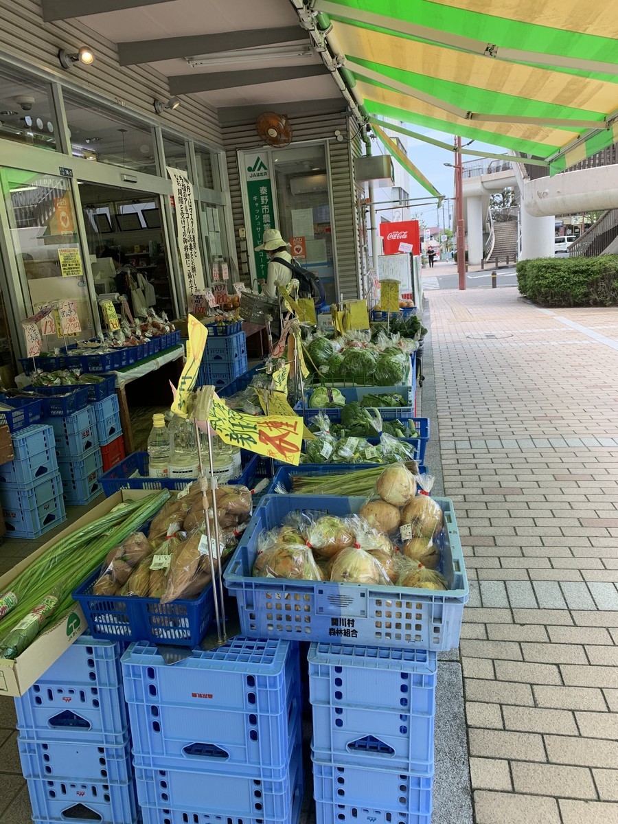 f:id:dohgen:20200511161052j:plain