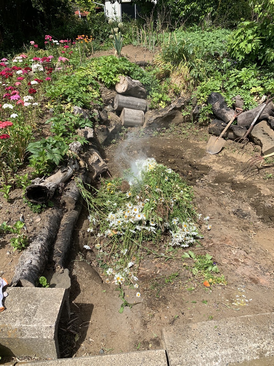 f:id:dohgen:20200513182048j:plain