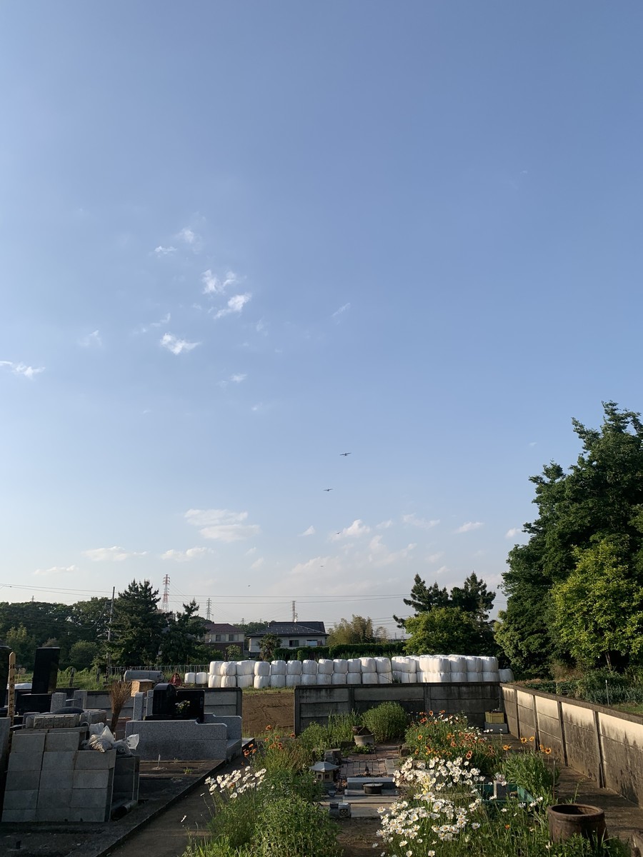 f:id:dohgen:20200513195916j:plain